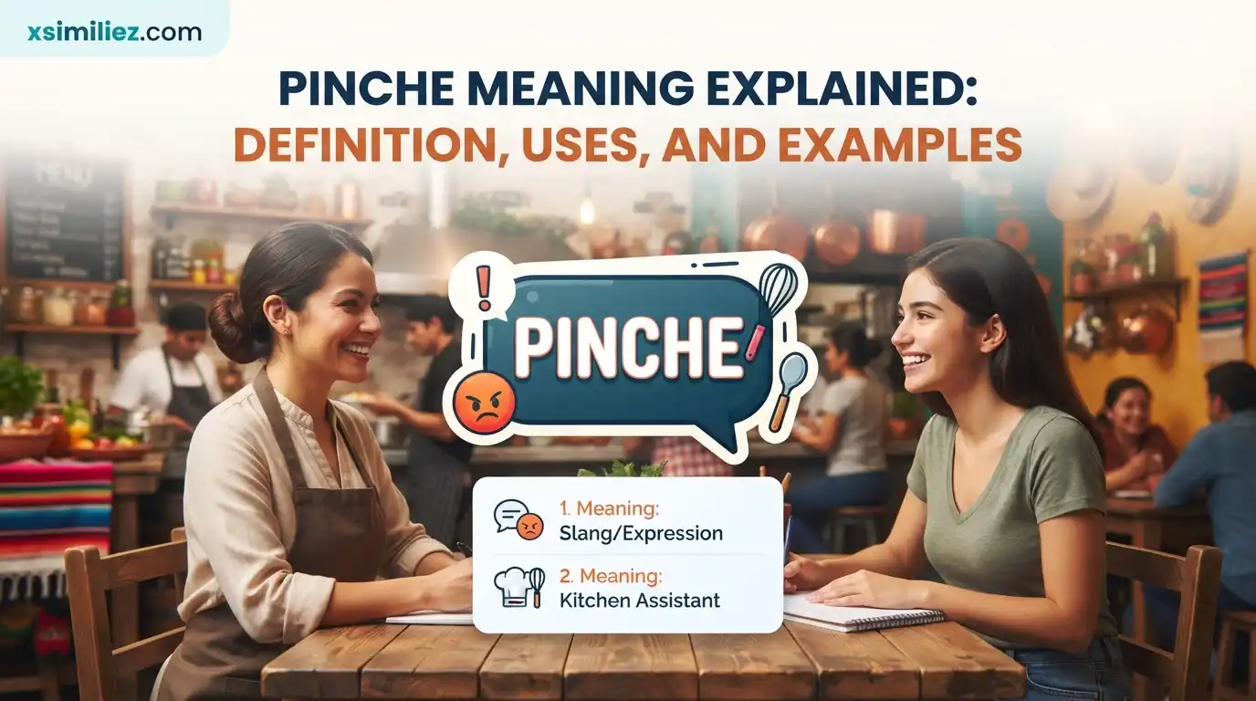 Pinche Meaning